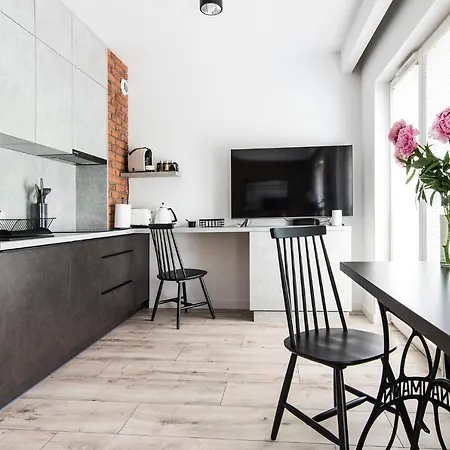 Apartment Centre Netflix- Greenpark - River Olsztyn (Warmian-Masurian)